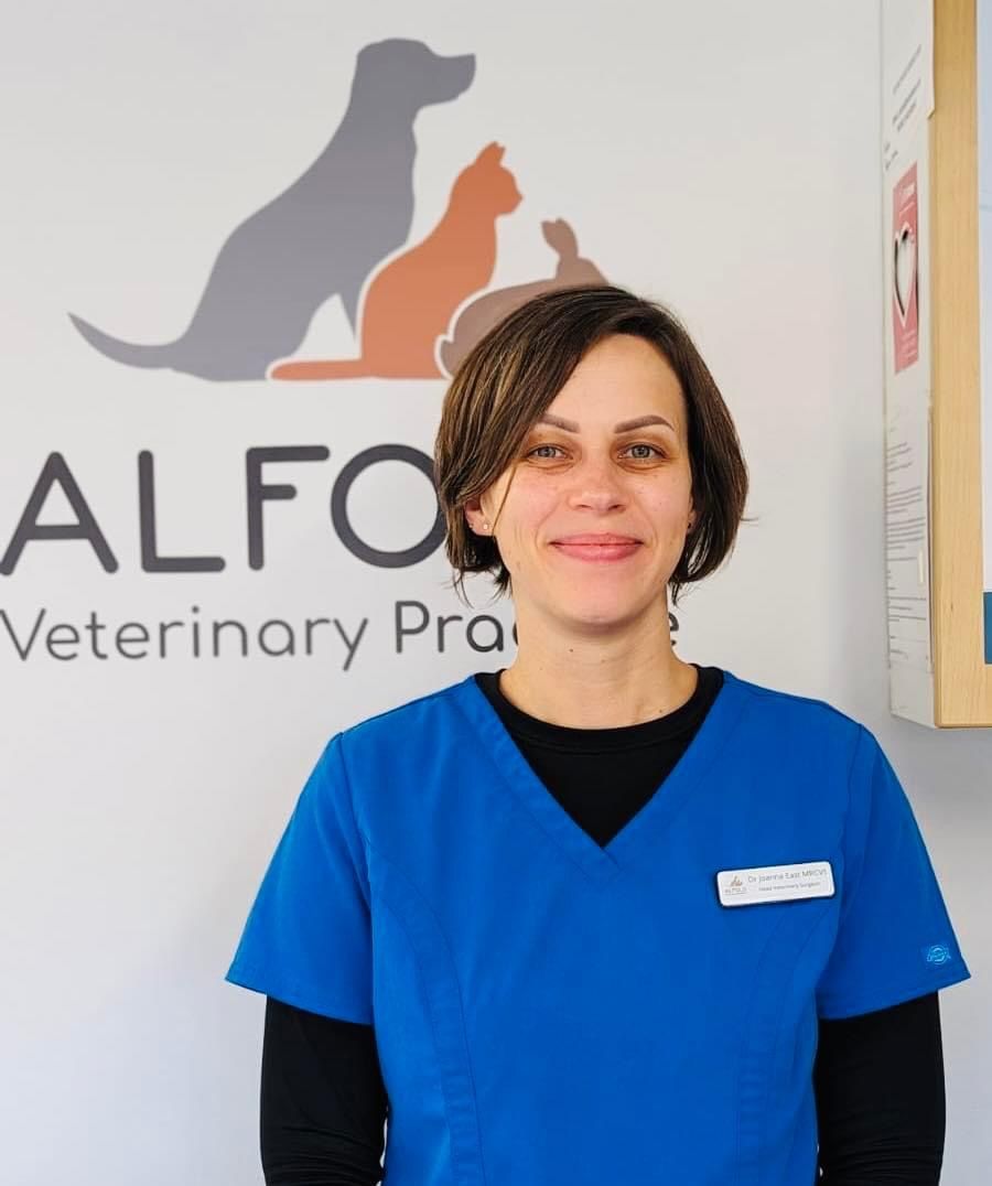 Joanna East Veterinary Surgeon